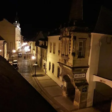 Appartement Maxmillian 2 Louny